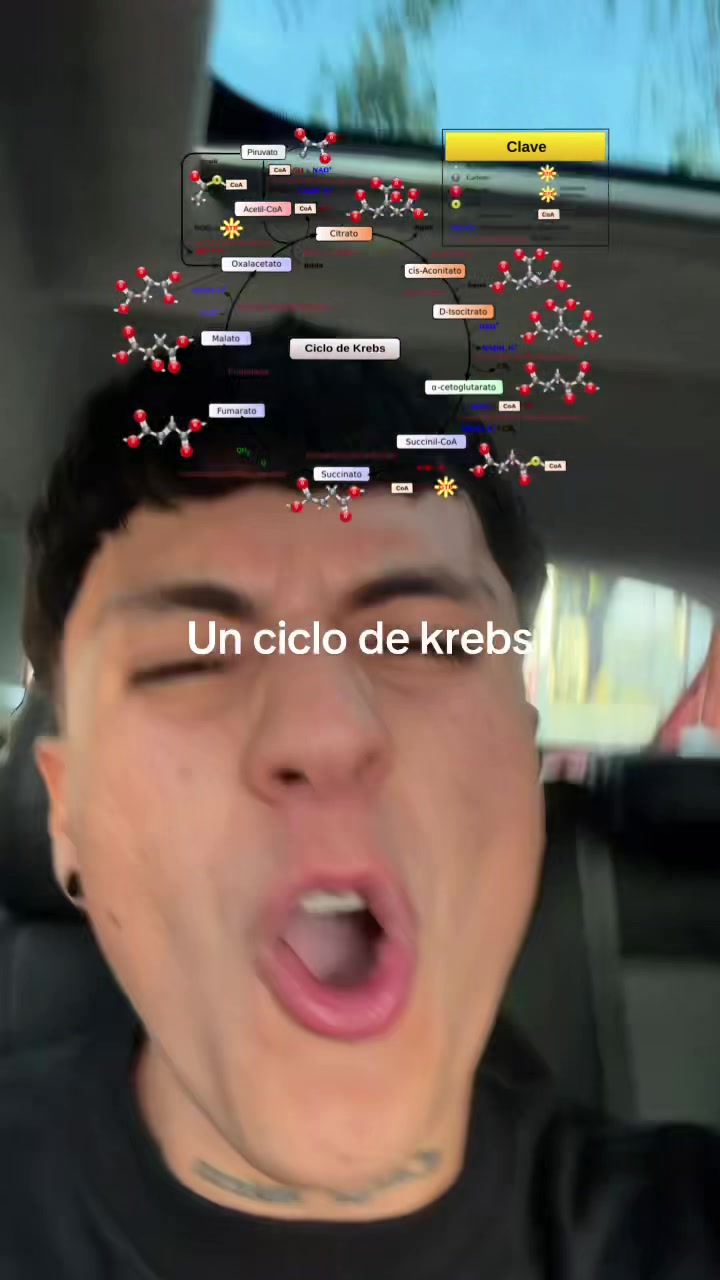 @ENDOBOY