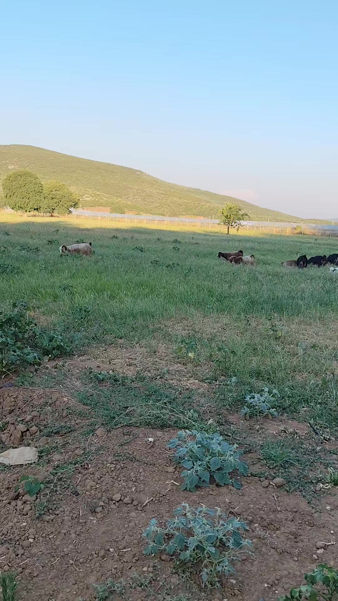 @Kader çakmaz
