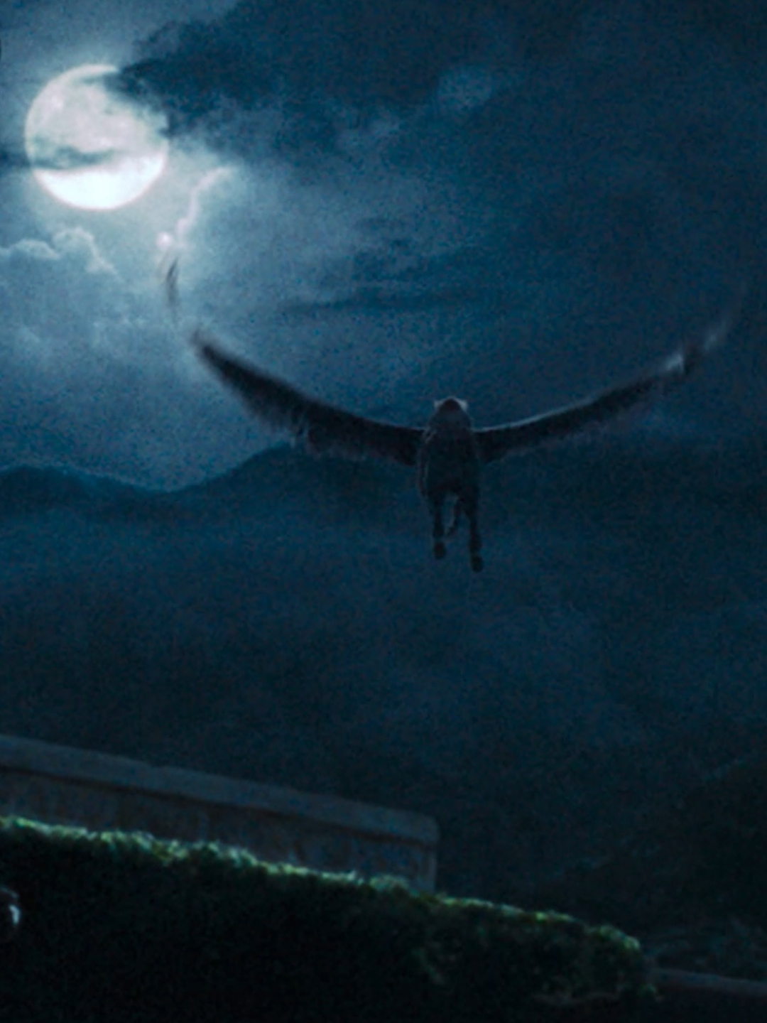 @Harry Potter