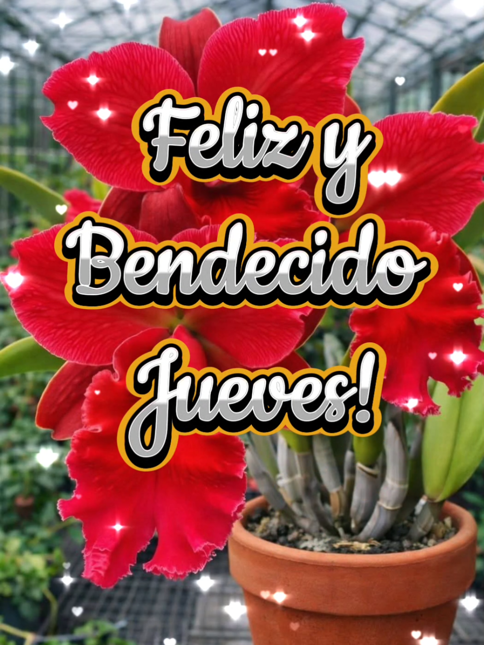 @Maria Ysabel 🇻🇪