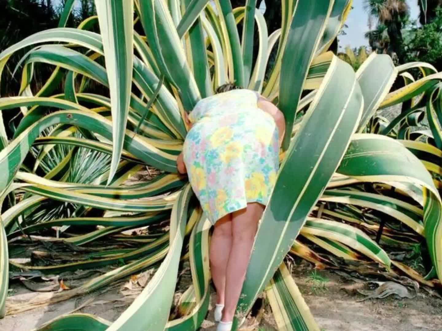@🌴