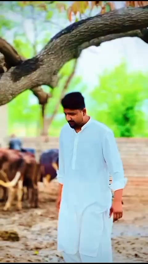 @☠۔۔۔چوہدری سمیر پڈھیار۔۔۔😎