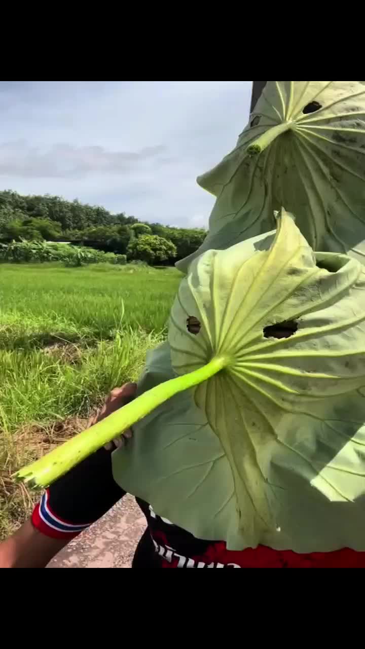 @леня карбюратор
