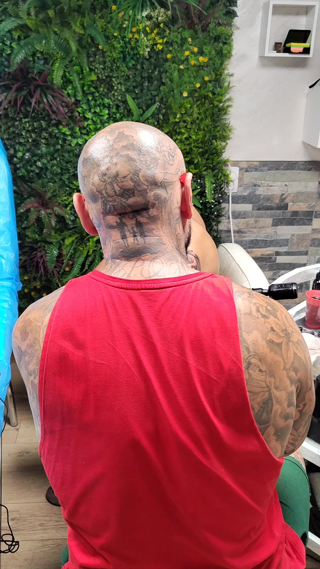 @Tattoo Šareni
