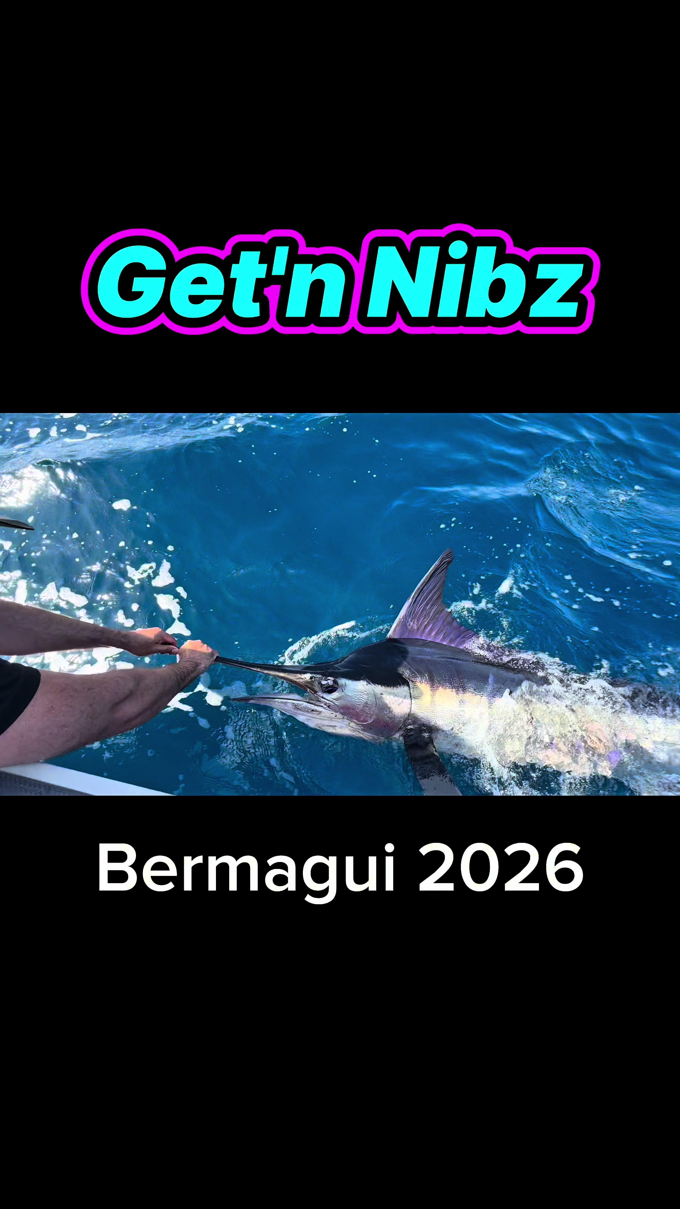 @Get'n Nibz