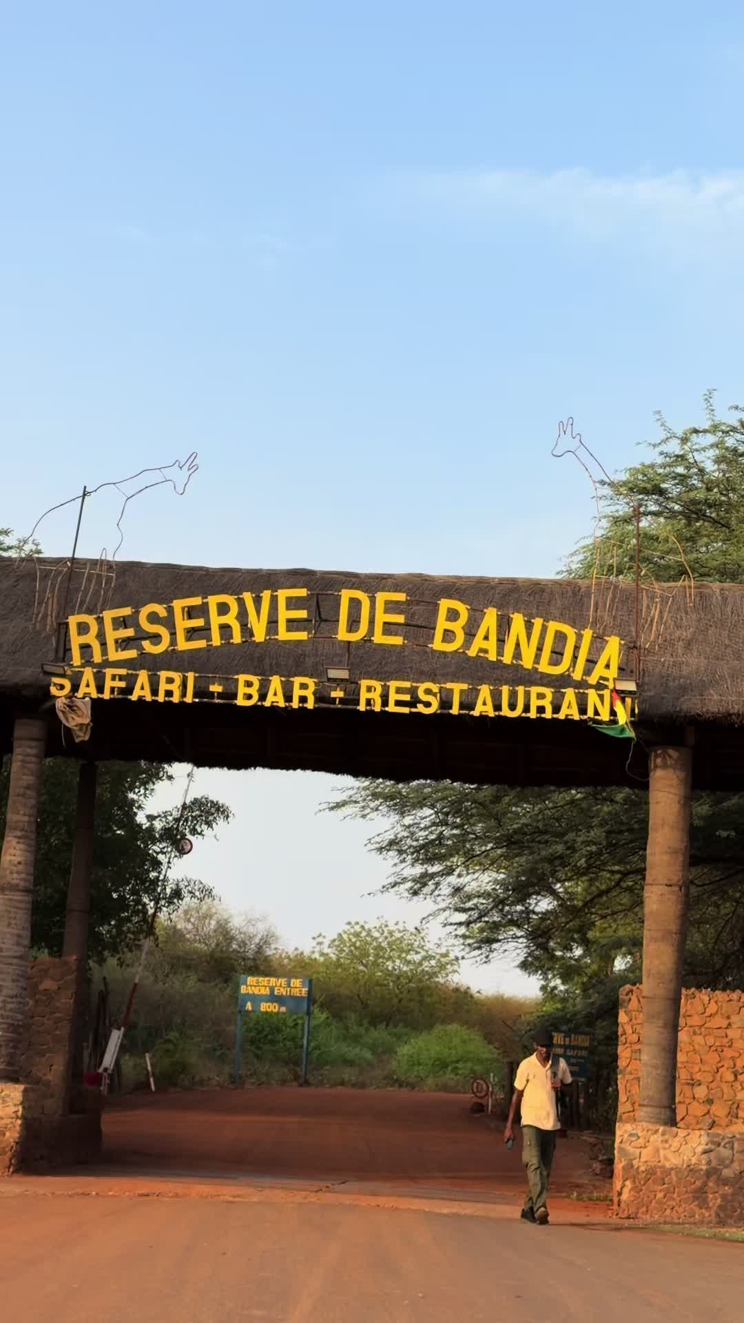 @Amyy🇸🇳