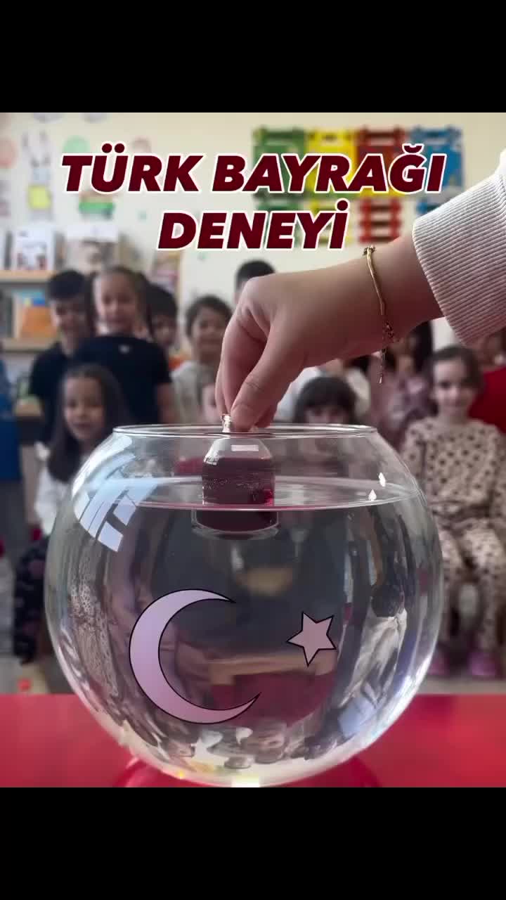 @🇹🇷🧿Başkan🧿🇹🇷