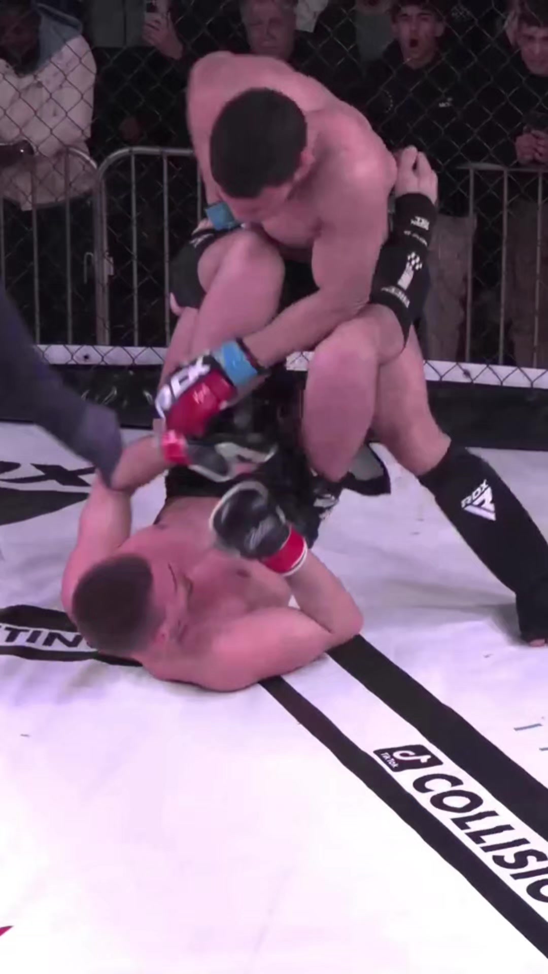@collision mma