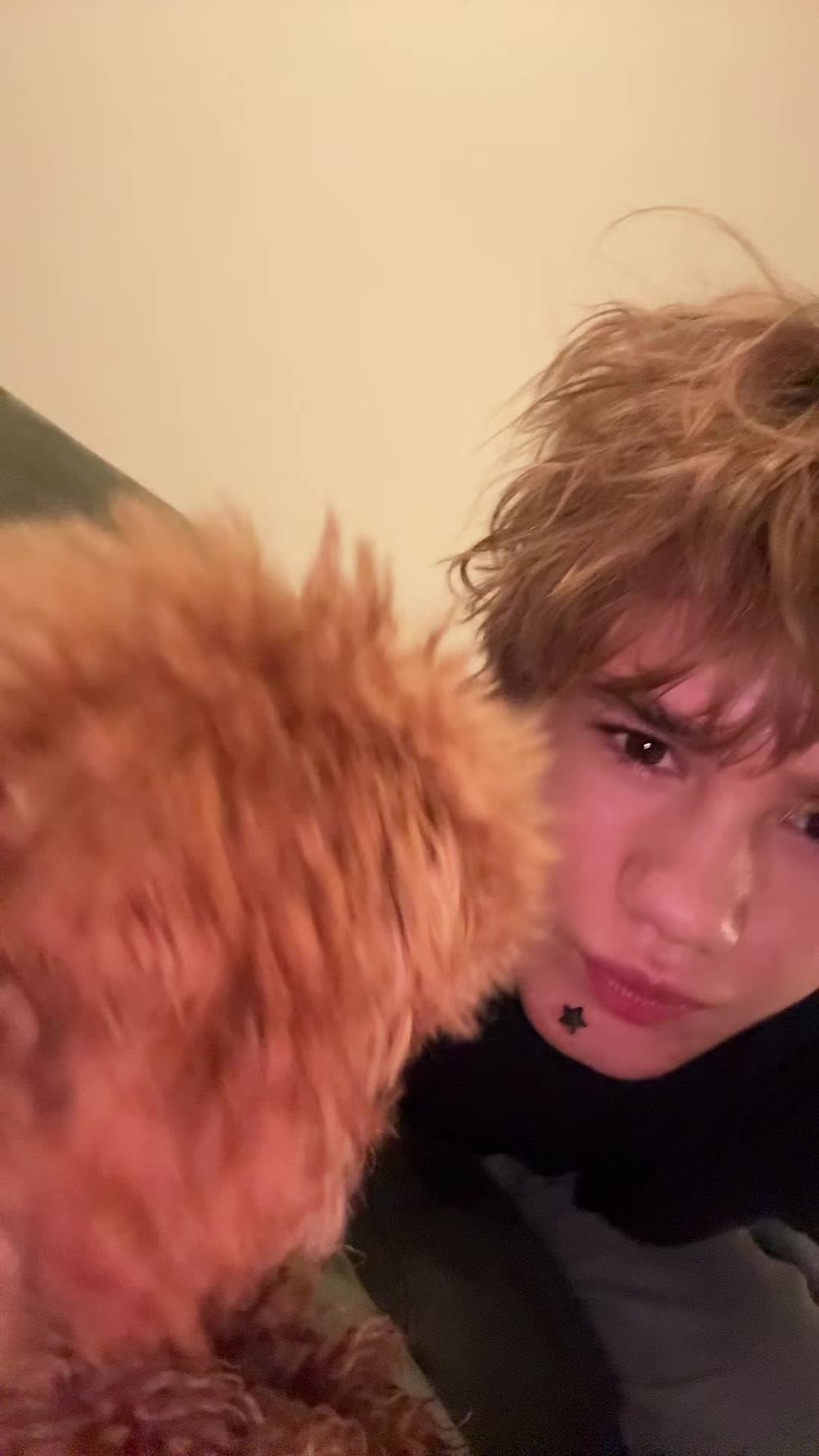 @мэлт
