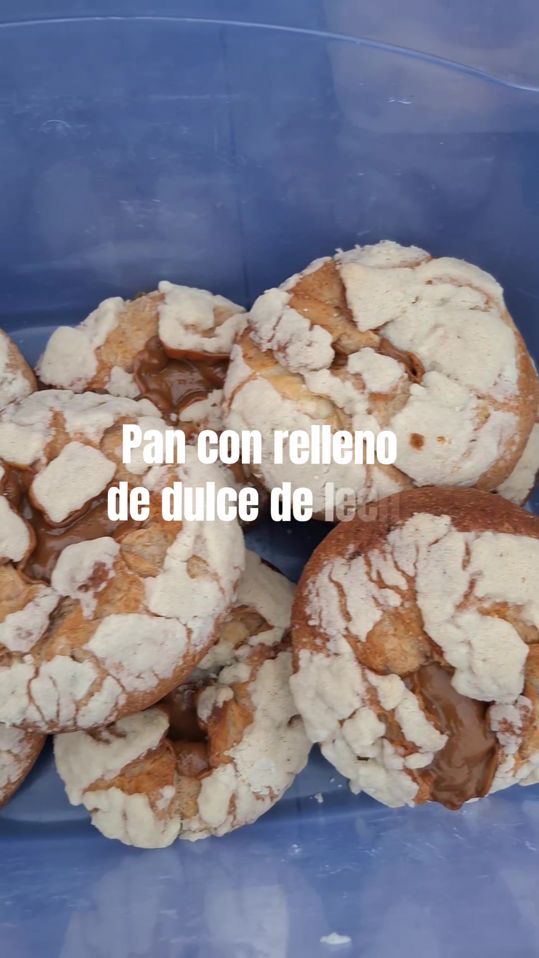 @🇨🇱Dulce Amelia🍞🇧🇴
