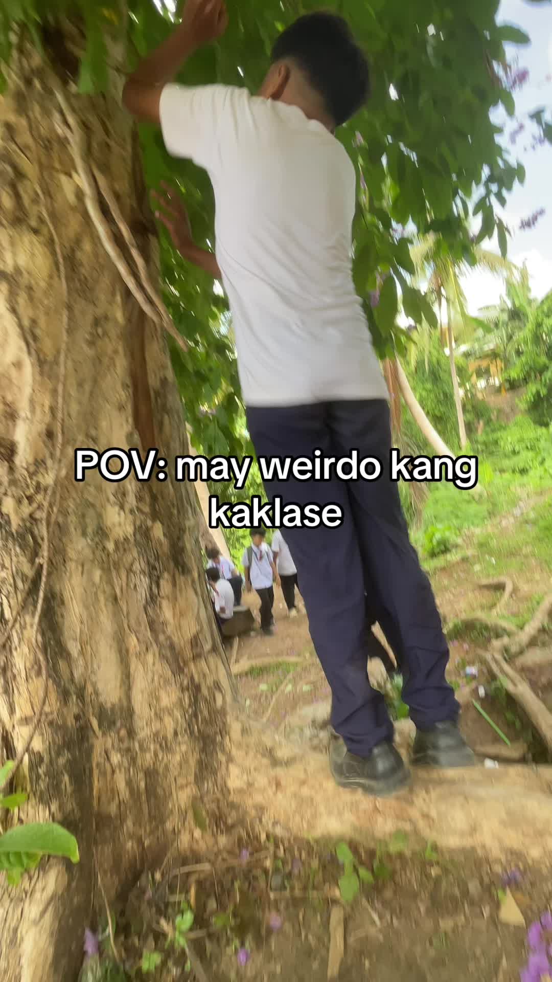 @๐๐ป๐ฒ๐ผ๐ฑ๐ชแตโฟโปโท