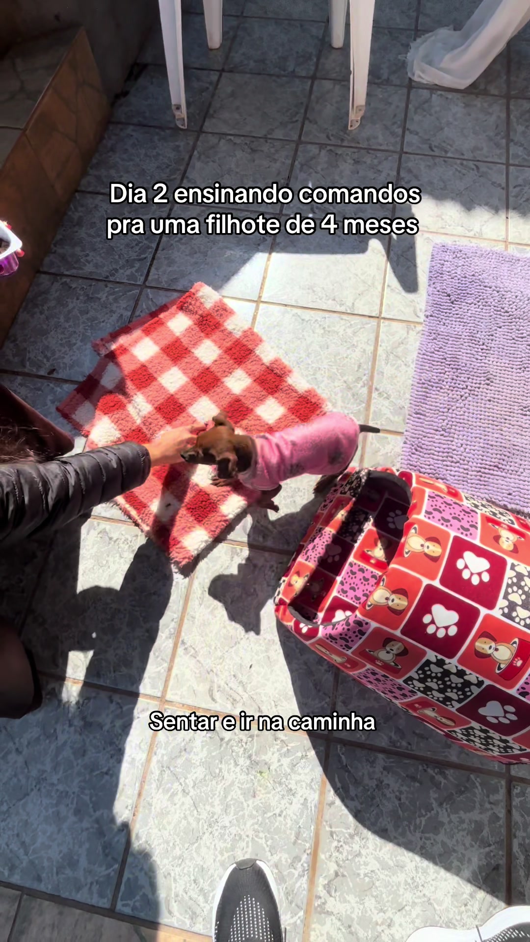 @Pacoserelepe