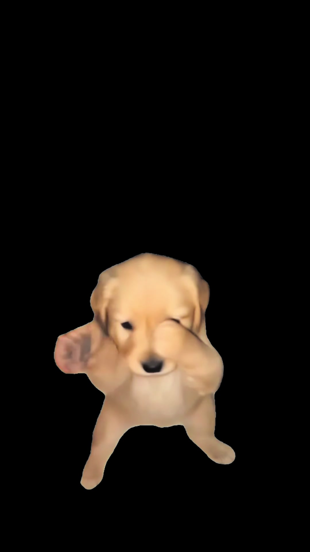 @Shivang