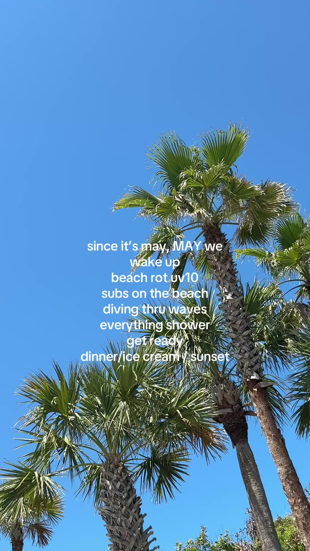 @caroline!🌞🌊🪸