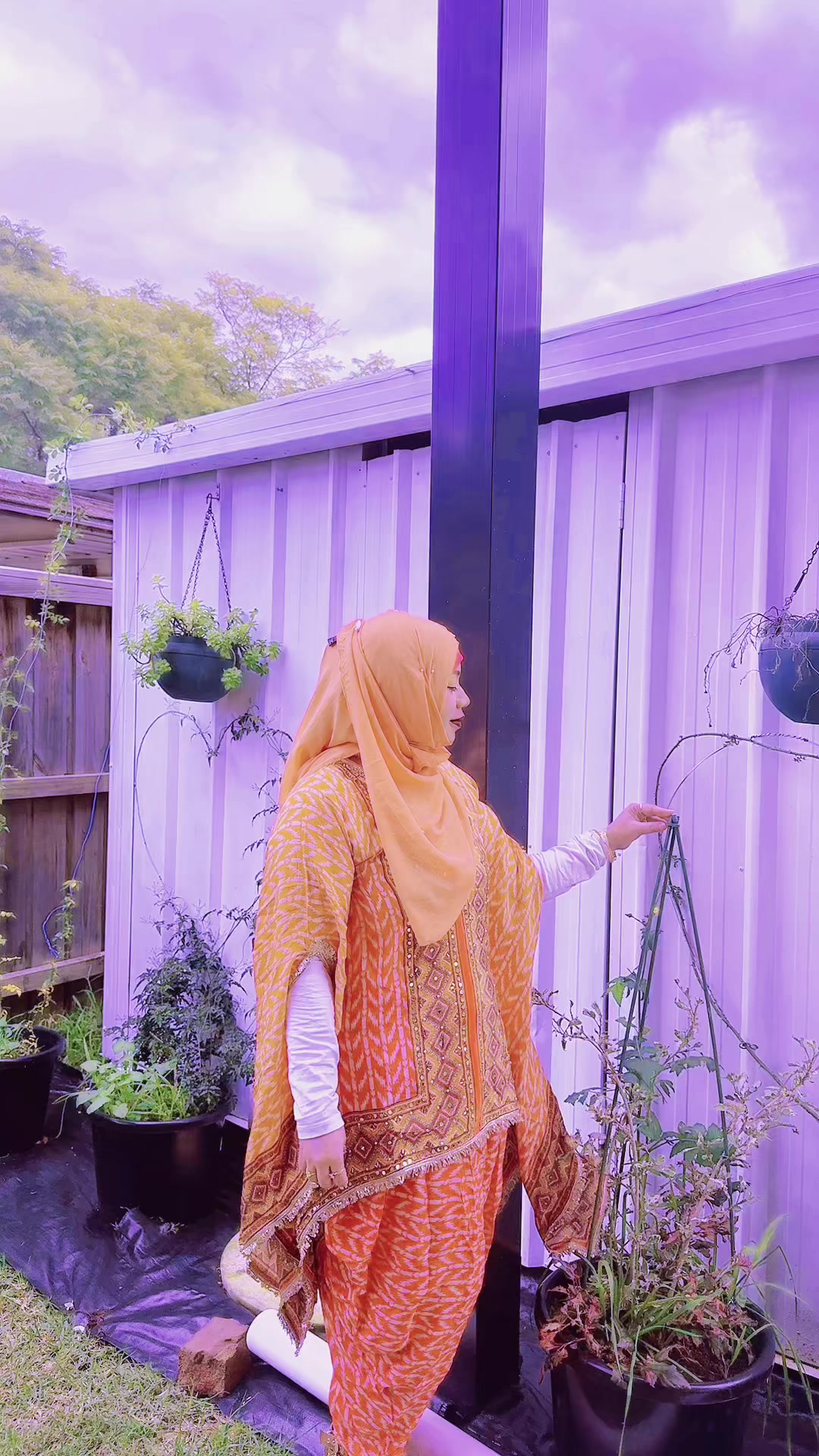 @HOSNE JAHAN(Farjana)
