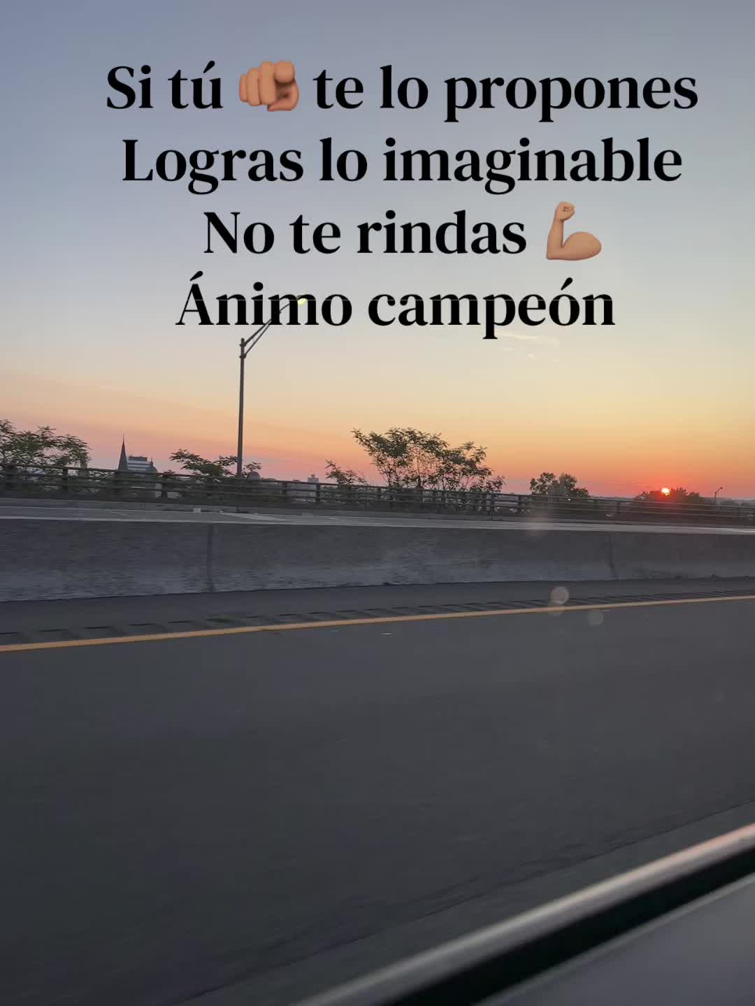 @Flores