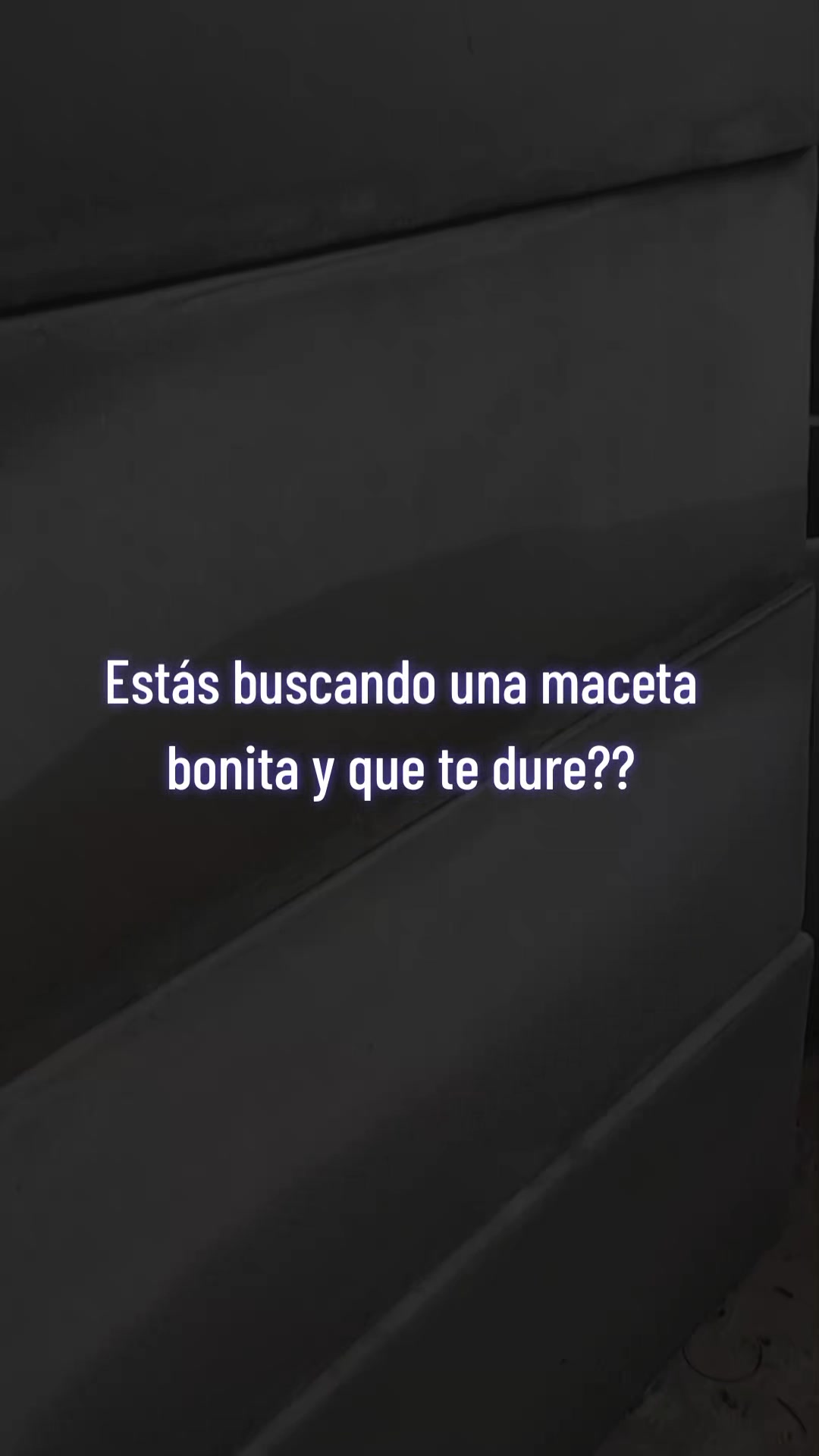 @C.C.Sandy