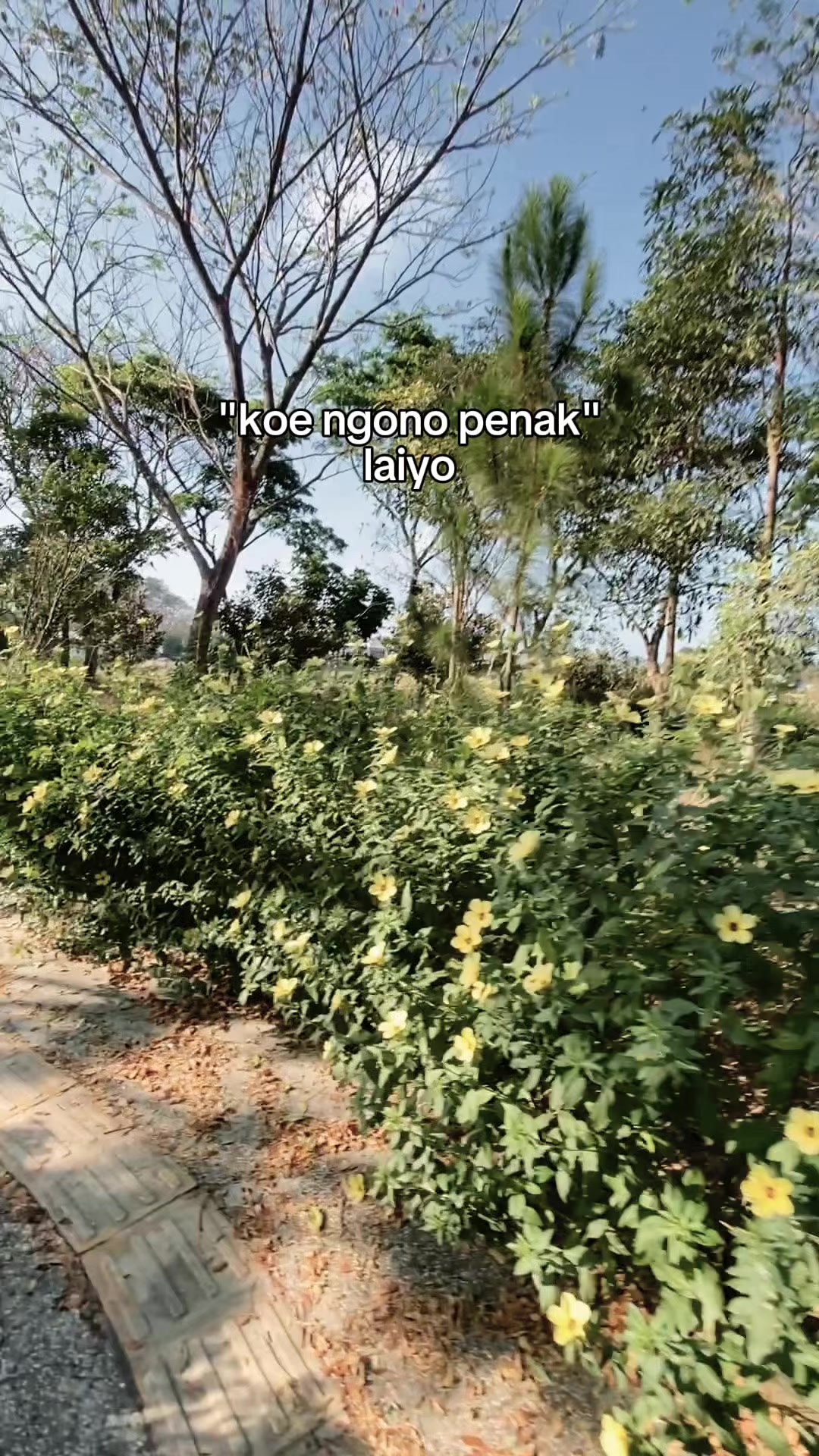 @Estiku