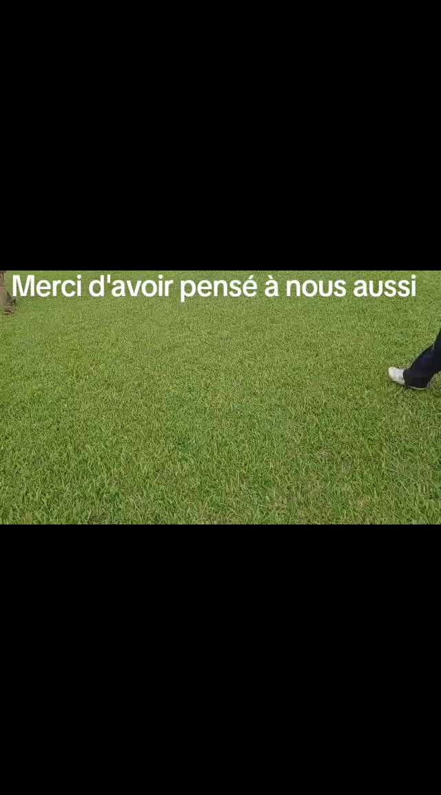 @OJUDOS