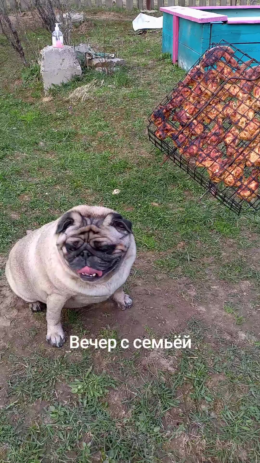 @tg: SamMops76