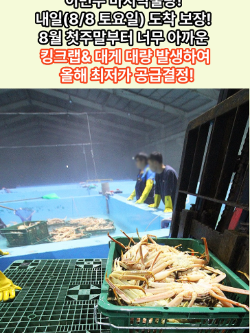 @킹크랩 대게 동해수산유통