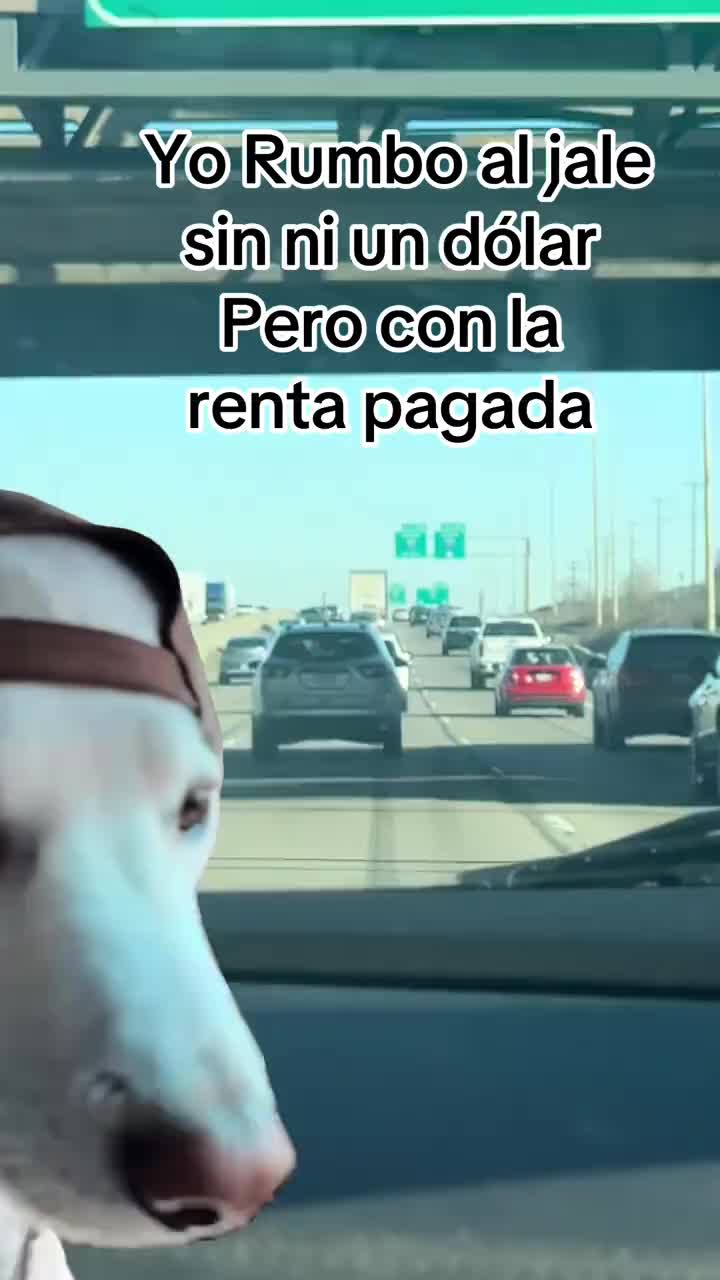 @Johnny Munoz