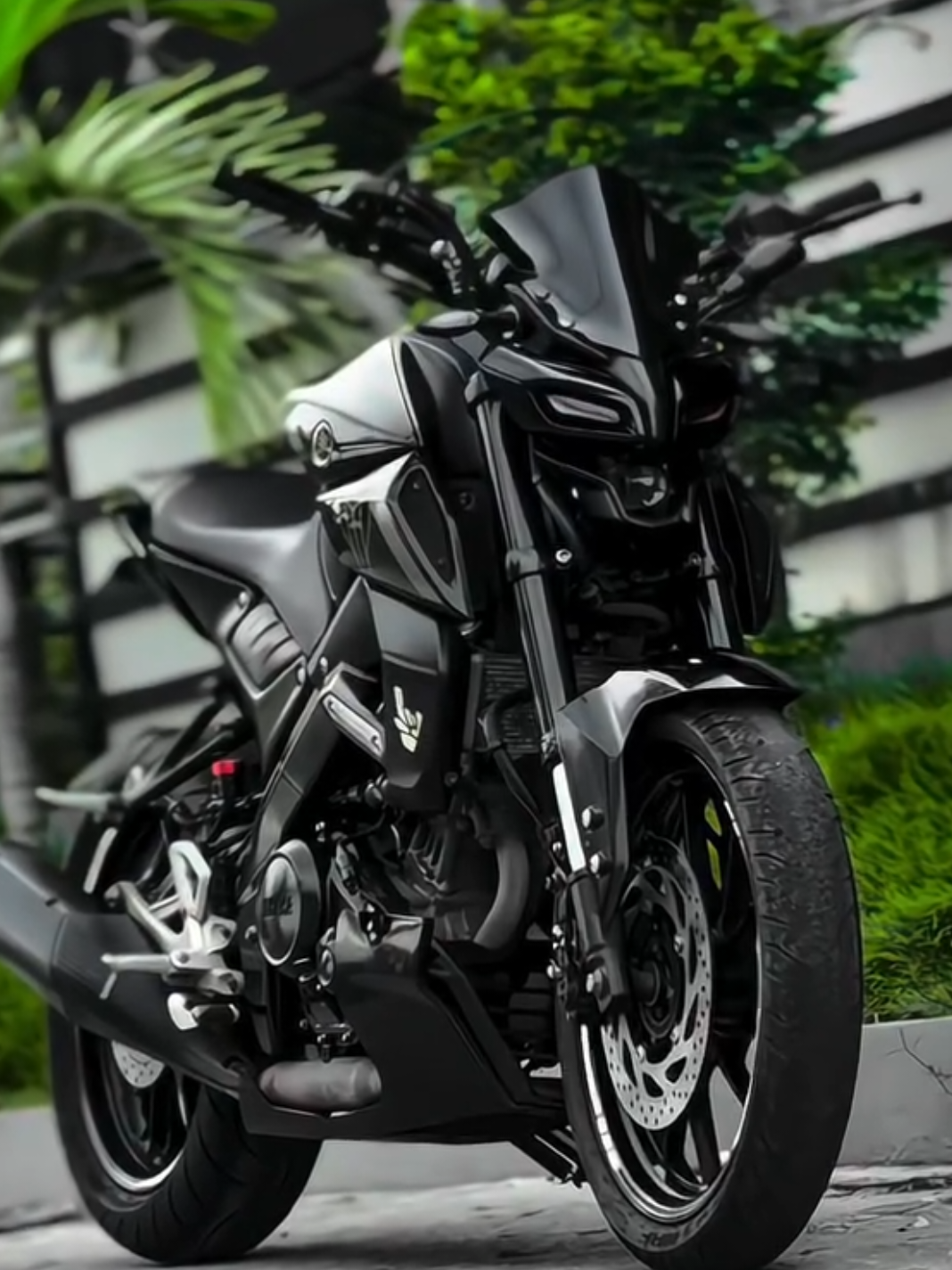 @MT15 🖤😍