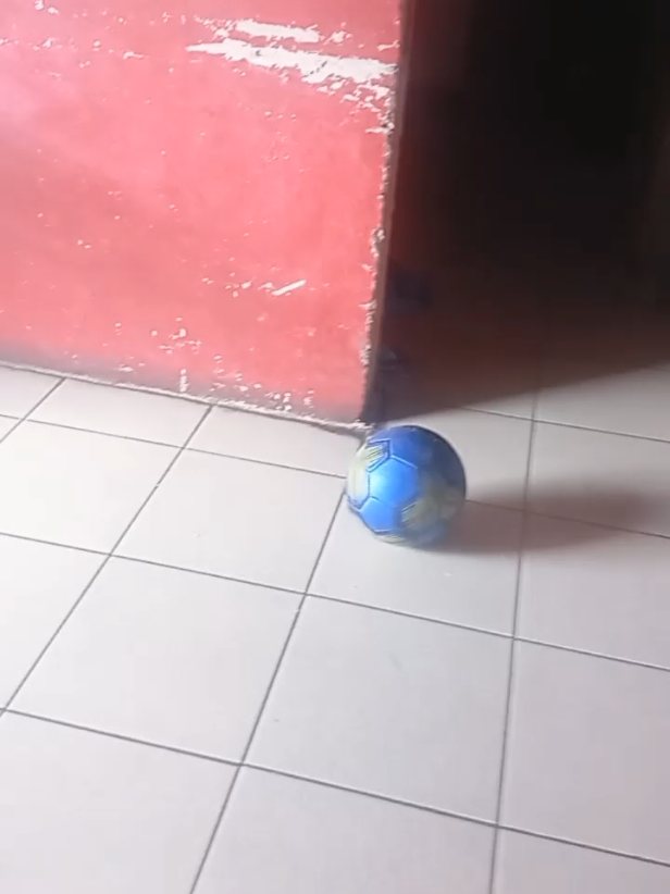 @mrBeast