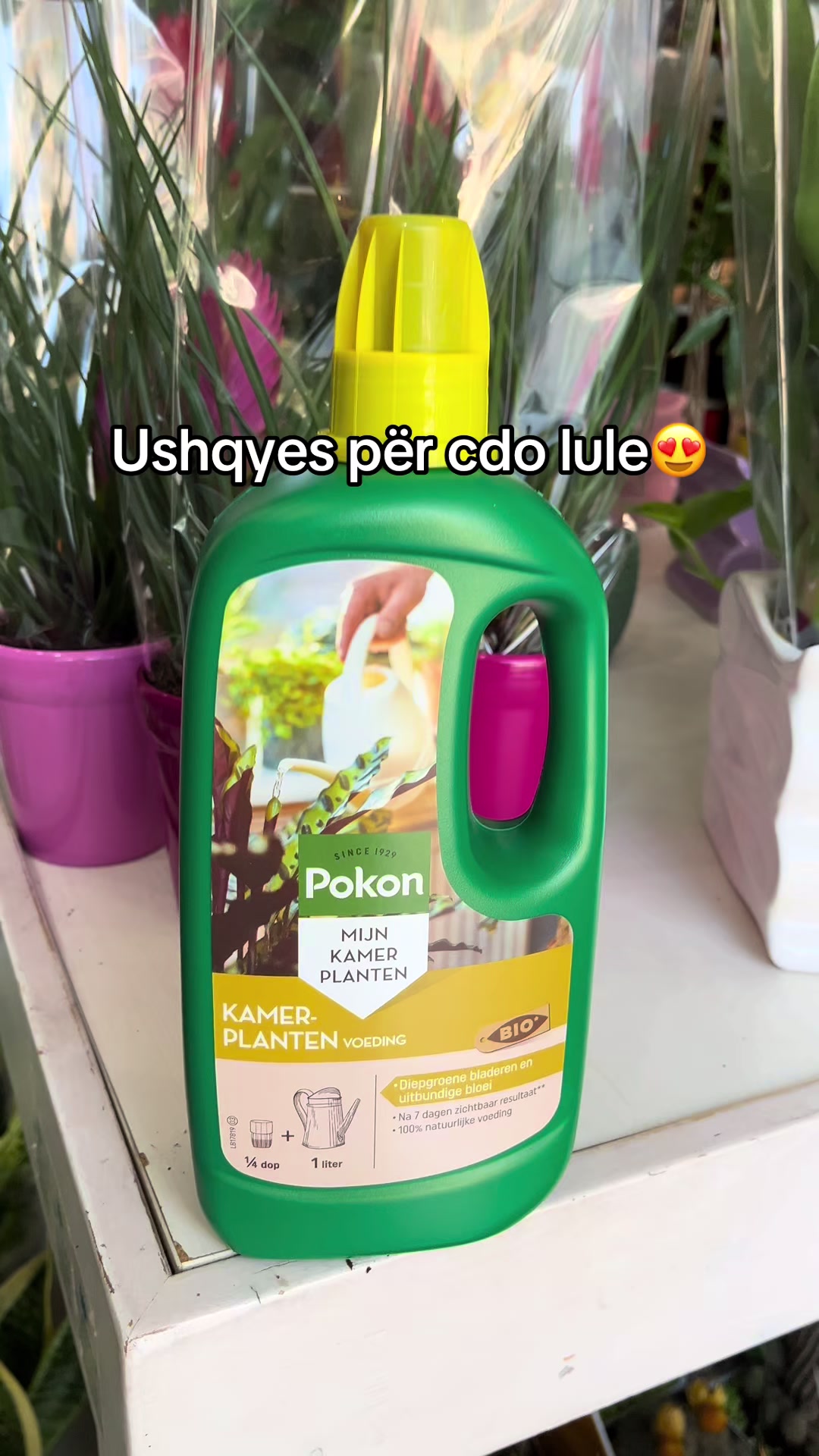 @Lule për ty