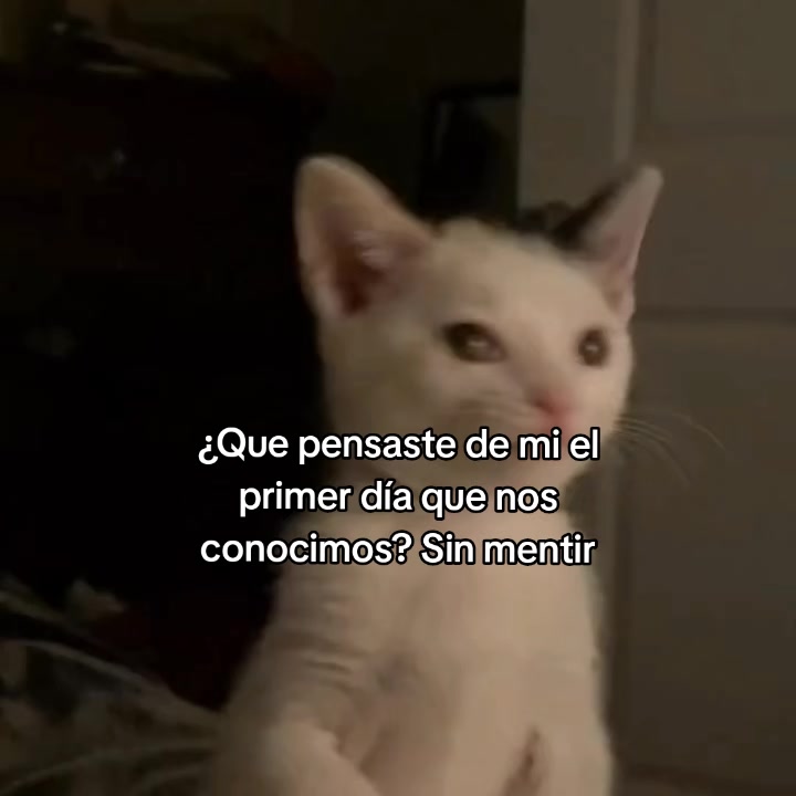 @goodvibessxd