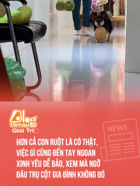 @Blog T&acirc;m Sự Giải Tr&iacute;