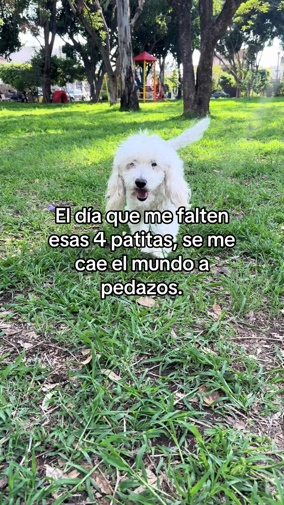 @maripau maar