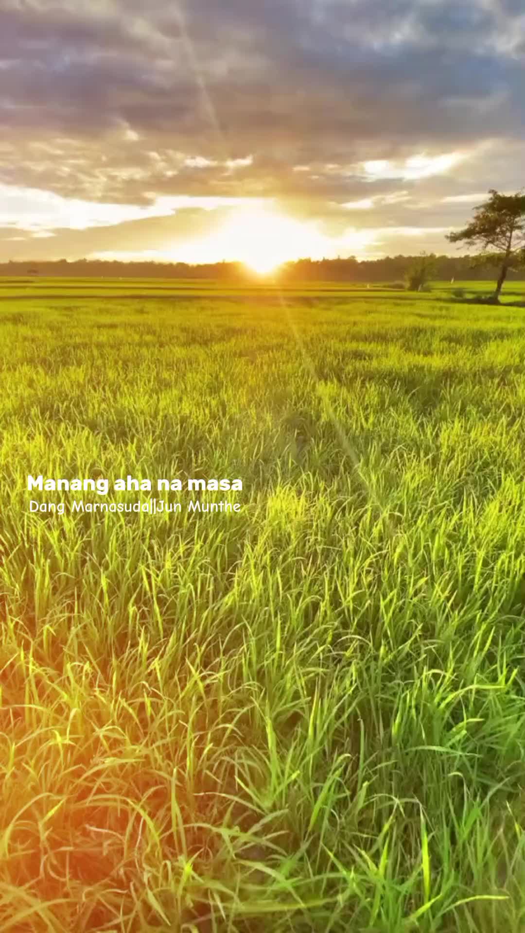 @Nangg💐