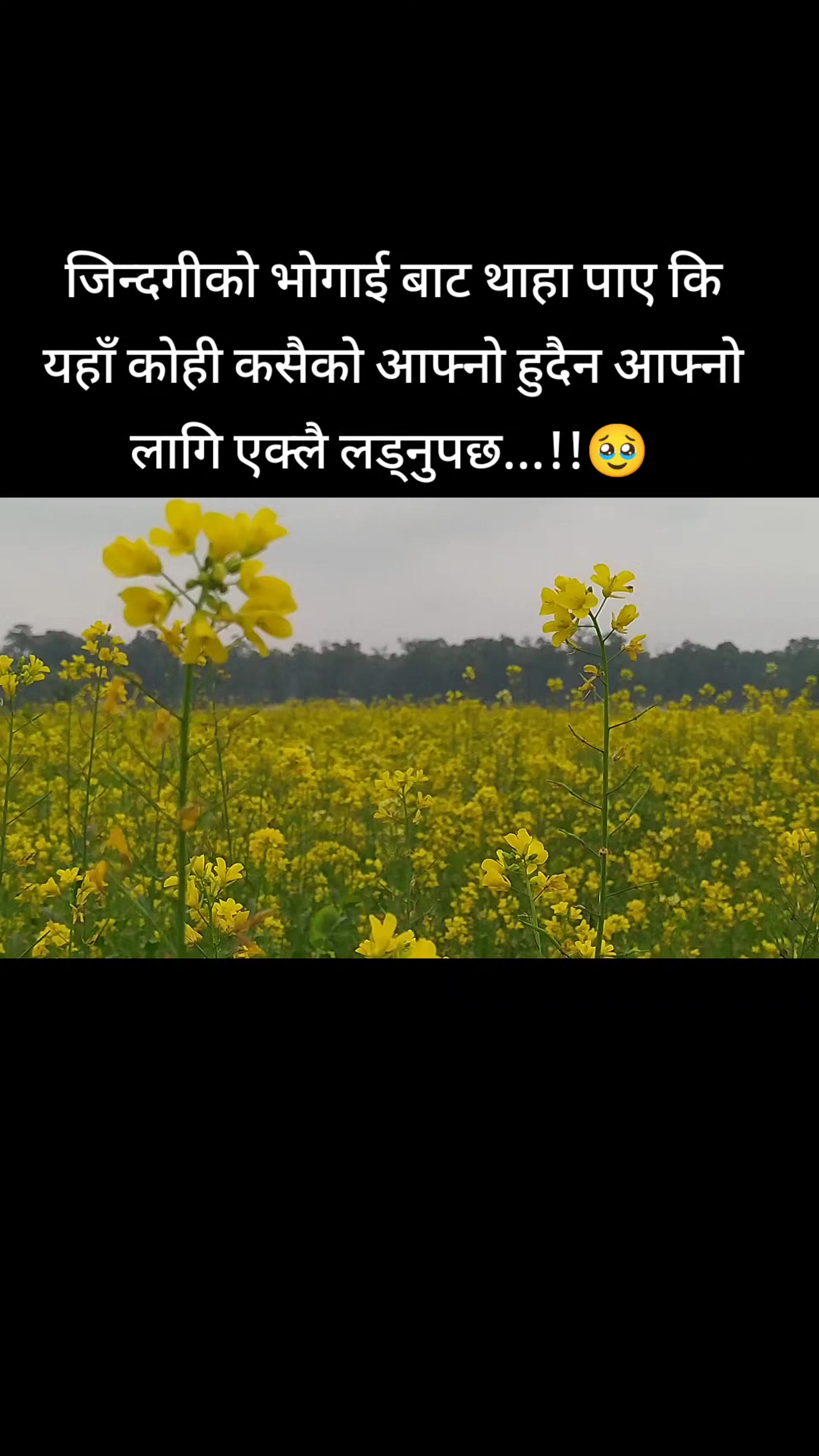 @< समिर पुन मगर > 🥰 !