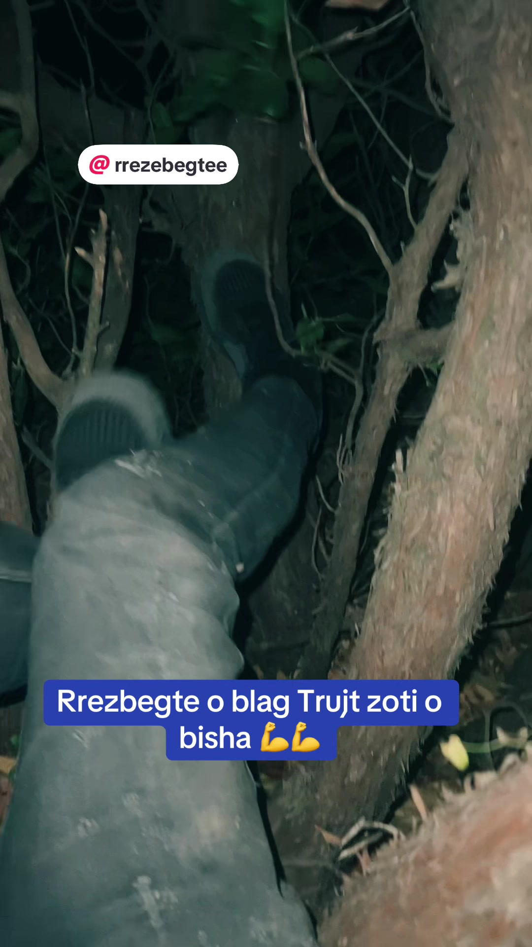 @rrezebegte