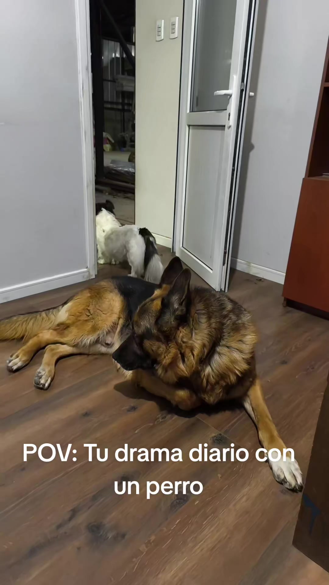@Elianacl