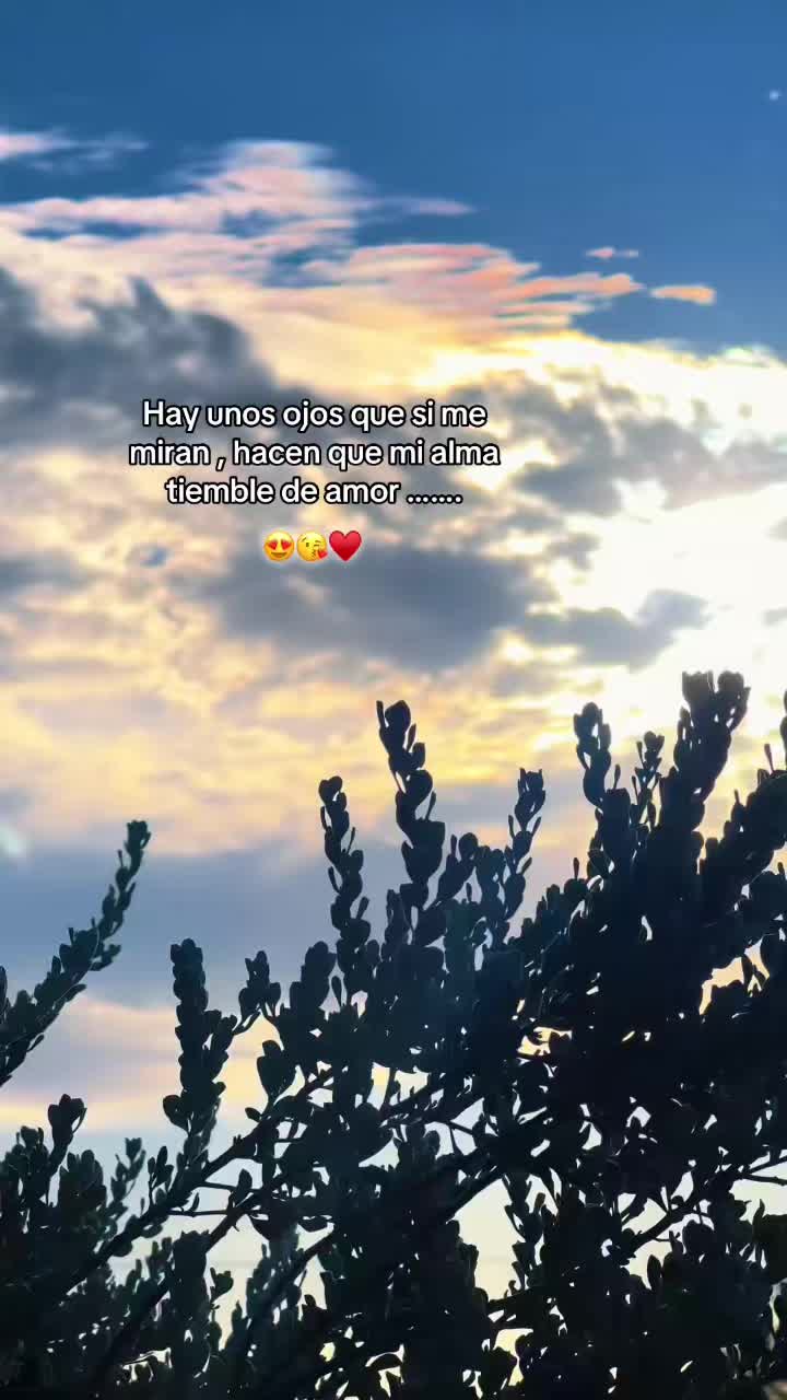 @Lisbeth 184