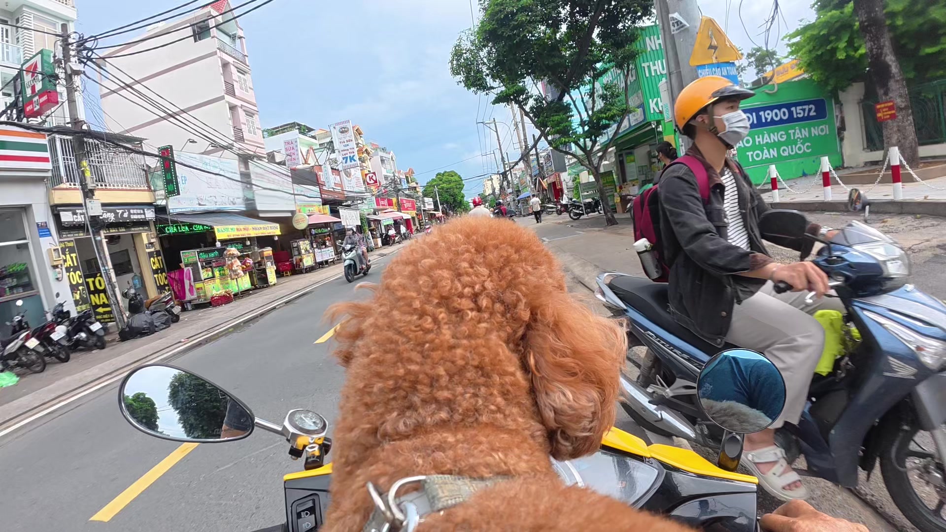 @Long Quận 9