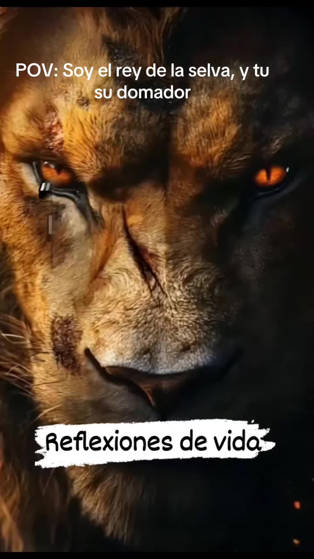 @Carlos Cisneros