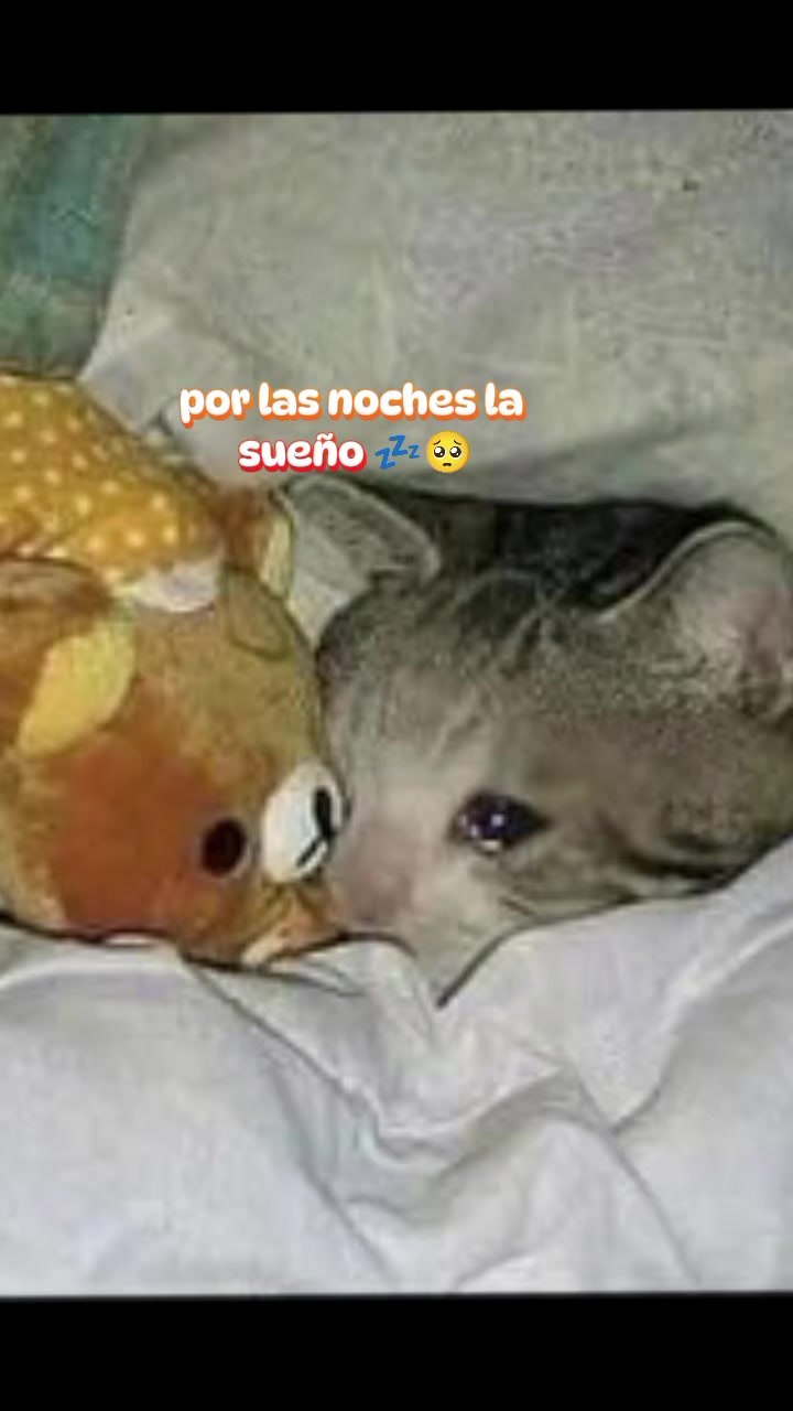 @@alexmejia