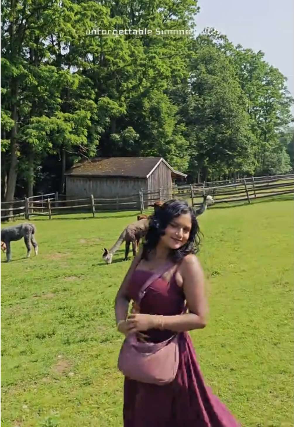 @Thaamarai | Tamil 🇨🇦🫶🏾🐅