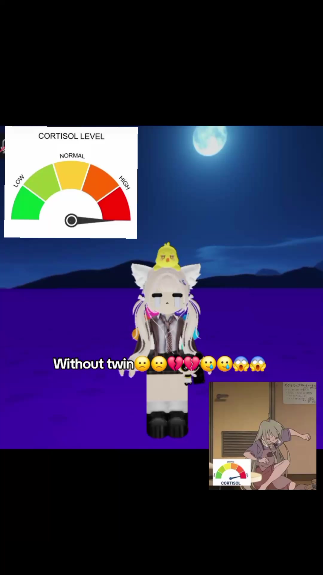@Donnutm_🍩