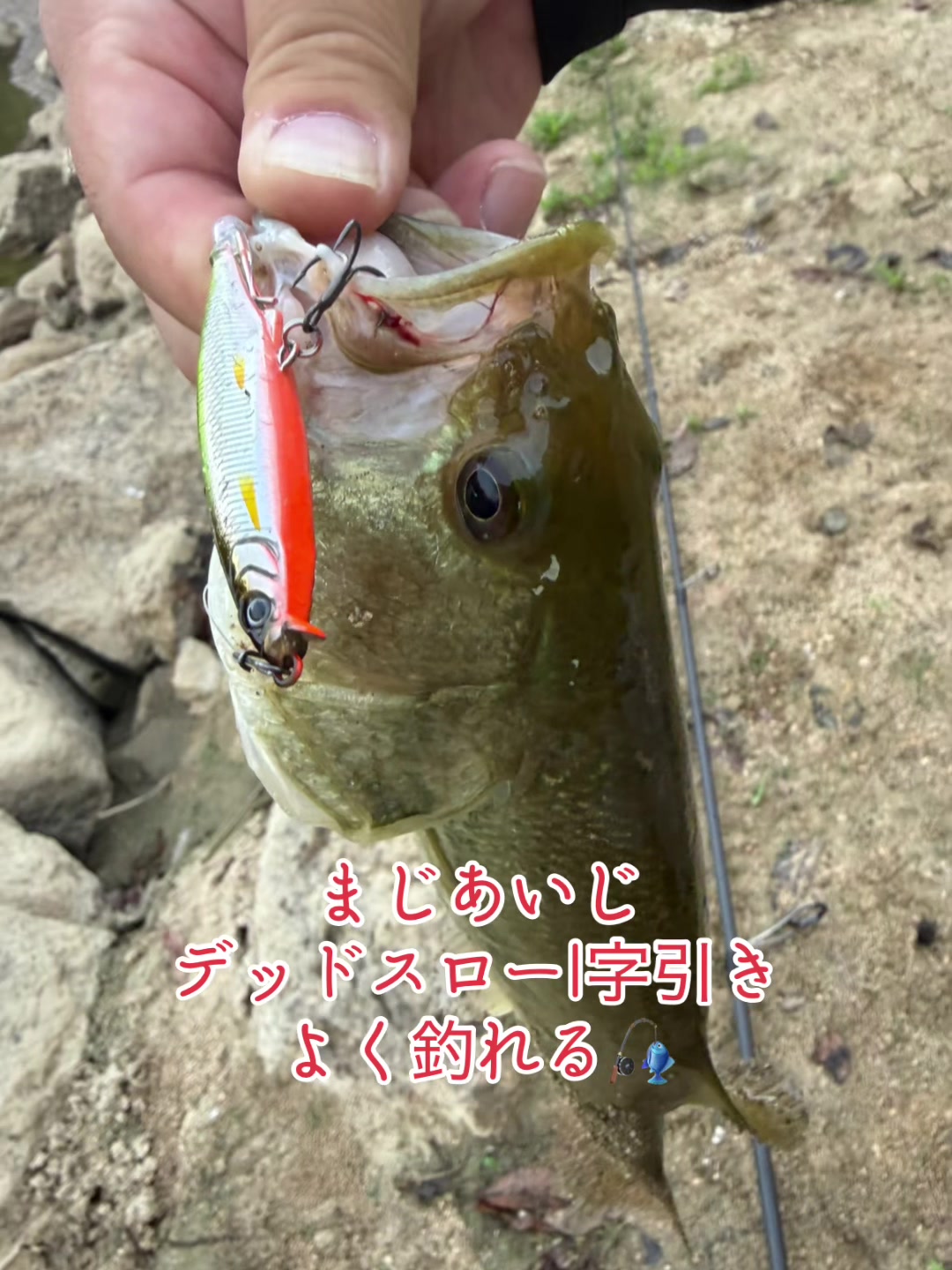 @片田舎のおっさんブラックバスを釣る