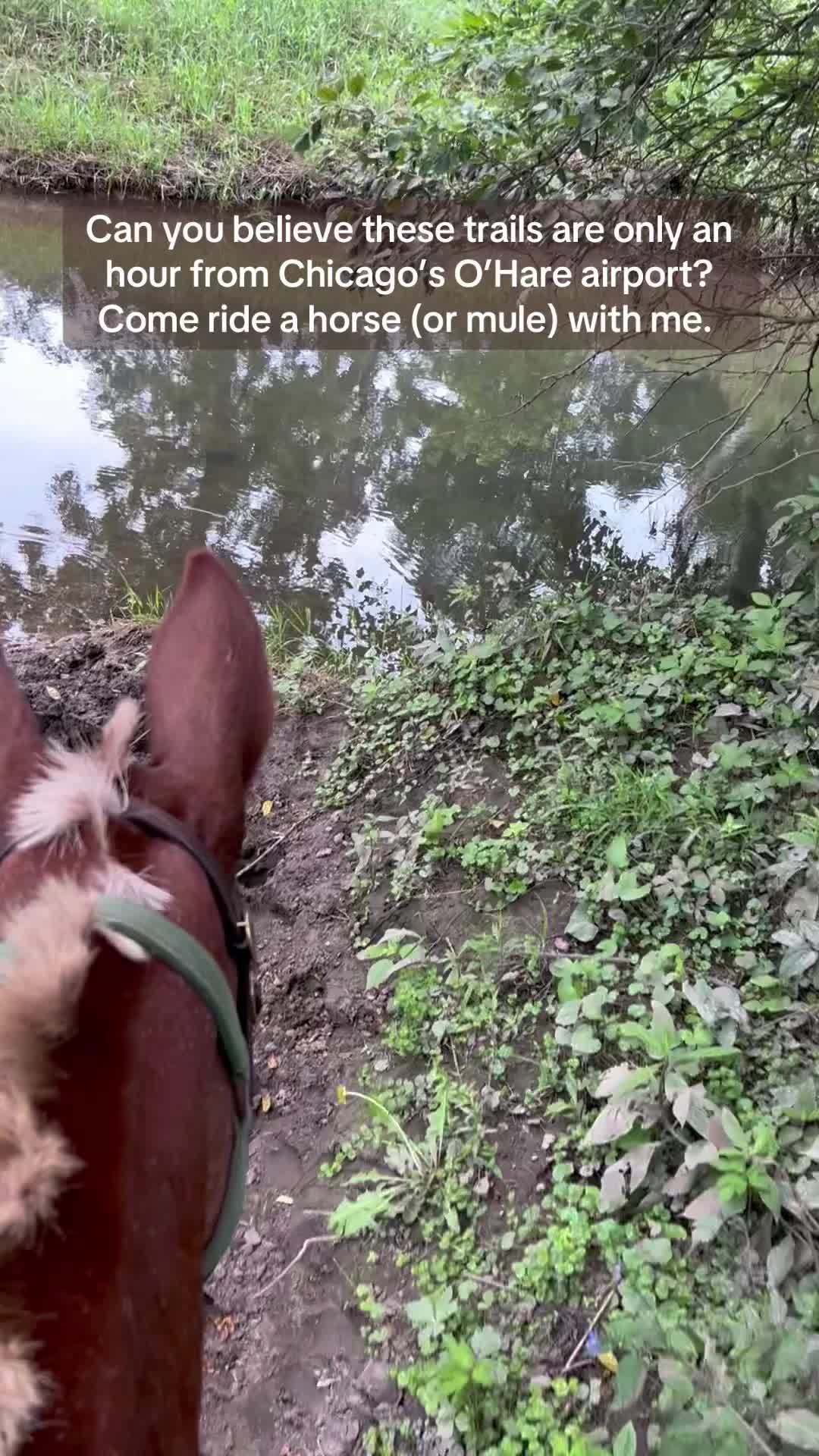 @SaddleSnaps