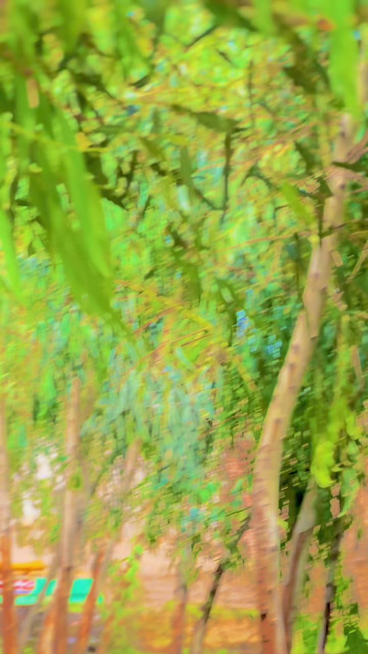 @رزاق کلیار