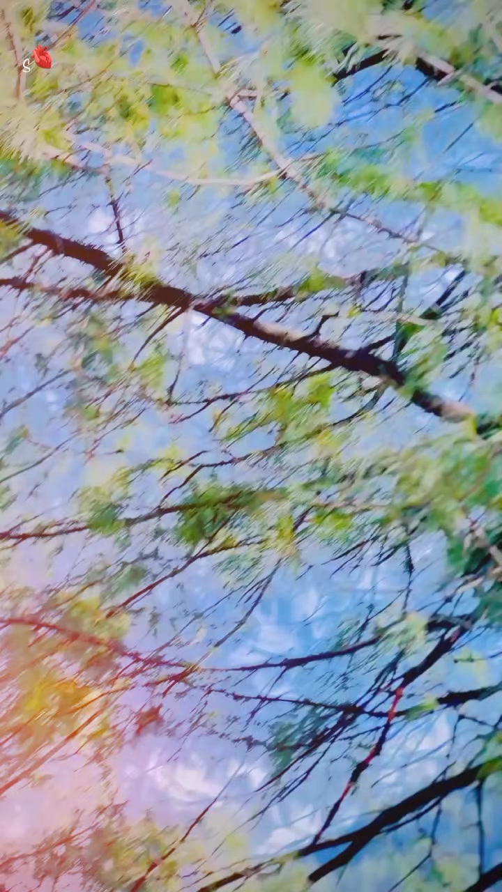 @🍁