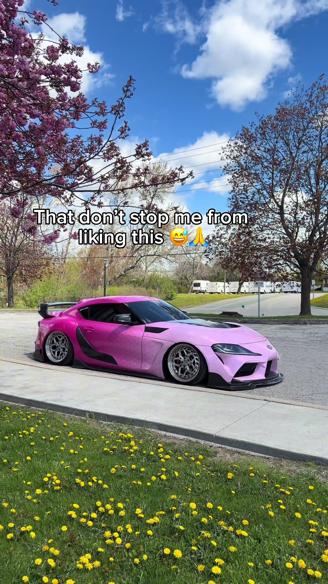 @Shayna Laliberte