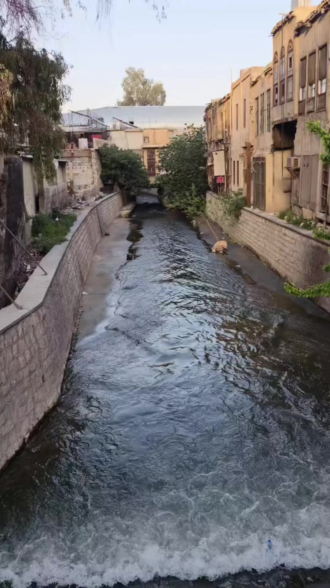 @أنس