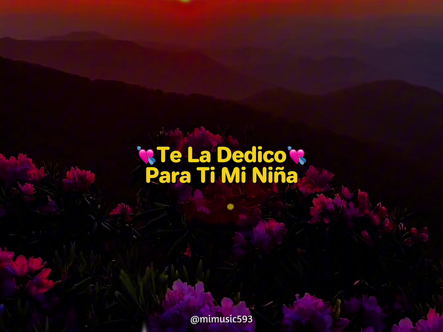 @MiMusic593