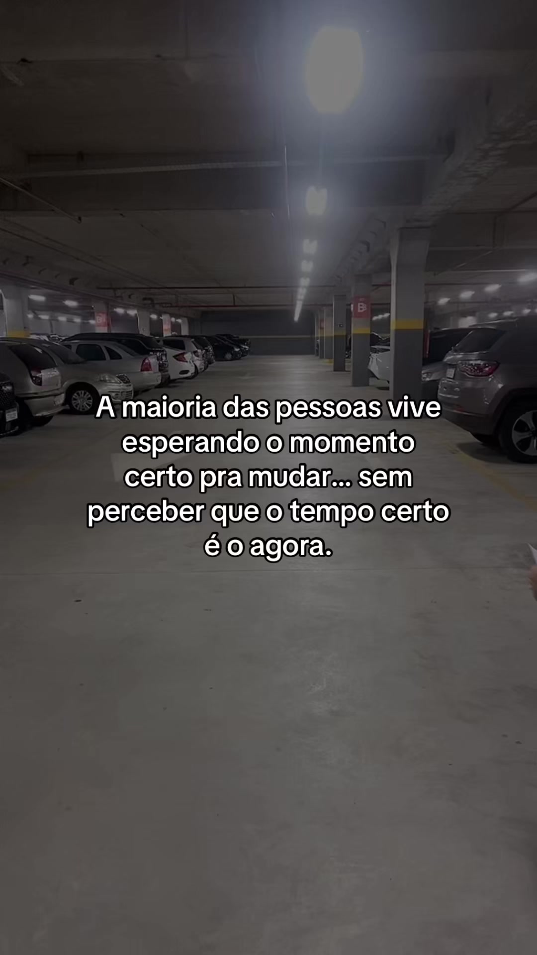 @Carolina Neves